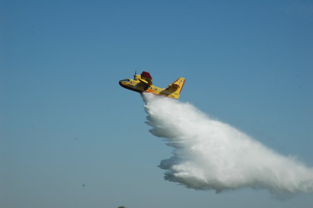 dsc_2265.jpg
