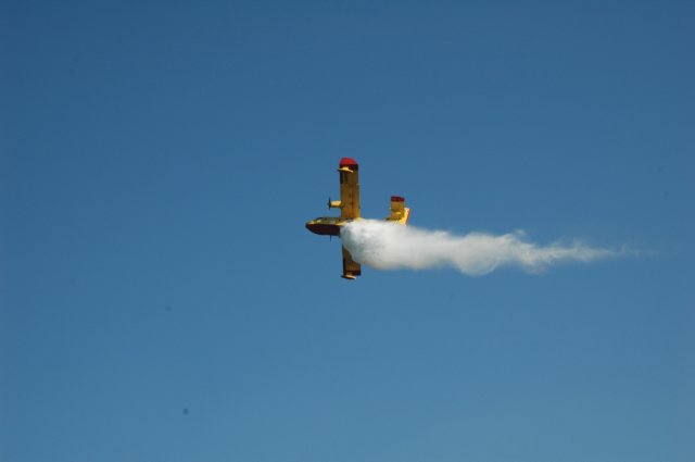 dsc_2278.jpg